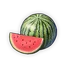 Flora Watermelon